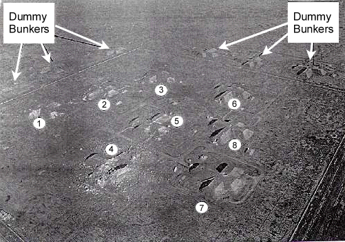 fig8.gif (150177 bytes)