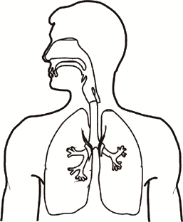Animated gif showing anthrax inhallation progress