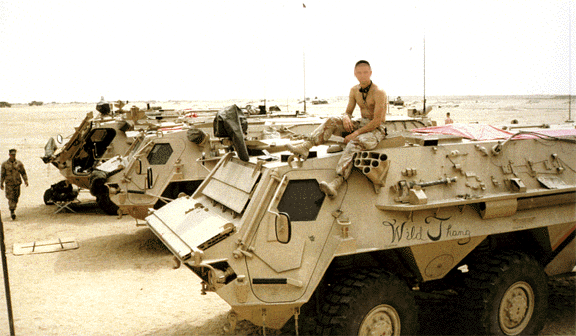 fig3.gif (119675 bytes)