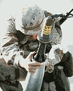 fige2s.gif (26275 bytes)