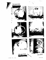 Storage Tank Photographs