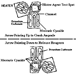 fig10s.gif (8198 bytes)