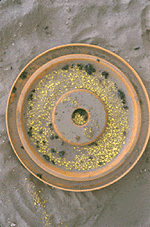 fig14s.gif (31956 bytes)